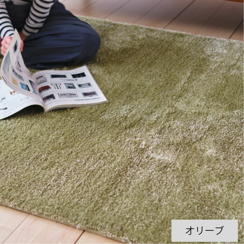 ▼リースアップ 短期使用品 ディーパス TRUM / トラム ラグ ジェイド ラグ(選べる5サイズ) | DOUBLEDAY ONLINE SHOP